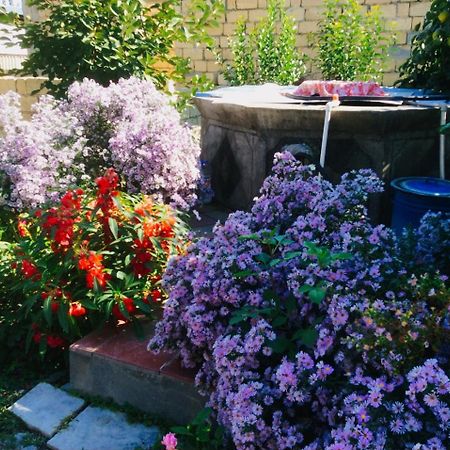 House On Ashiq Cuma Street 8 Bed & Breakfast Şǝki Dış mekan fotoğraf
