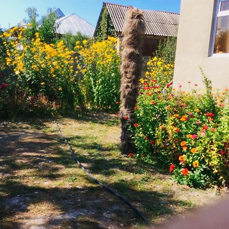 House On Ashiq Cuma Street 8 Bed & Breakfast Şǝki Dış mekan fotoğraf