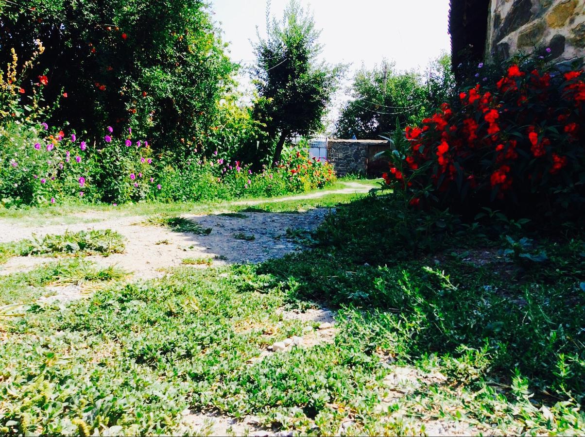 House On Ashiq Cuma Street 8 Bed & Breakfast Şǝki Dış mekan fotoğraf