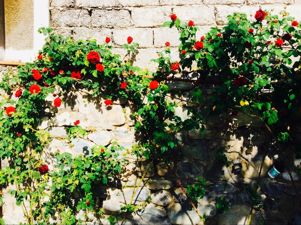 House On Ashiq Cuma Street 8 Bed & Breakfast Şǝki Dış mekan fotoğraf