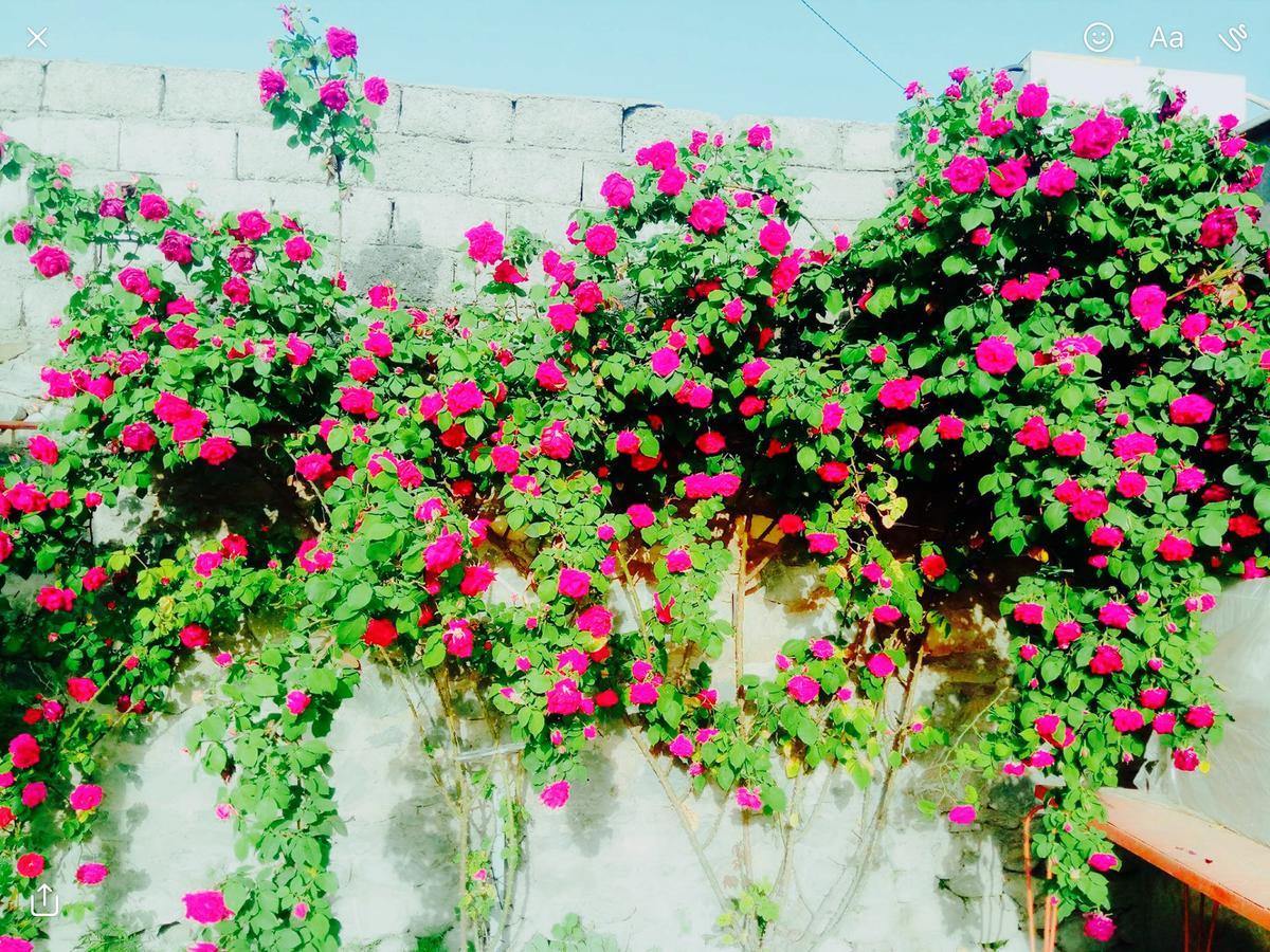 House On Ashiq Cuma Street 8 Bed & Breakfast Şǝki Dış mekan fotoğraf