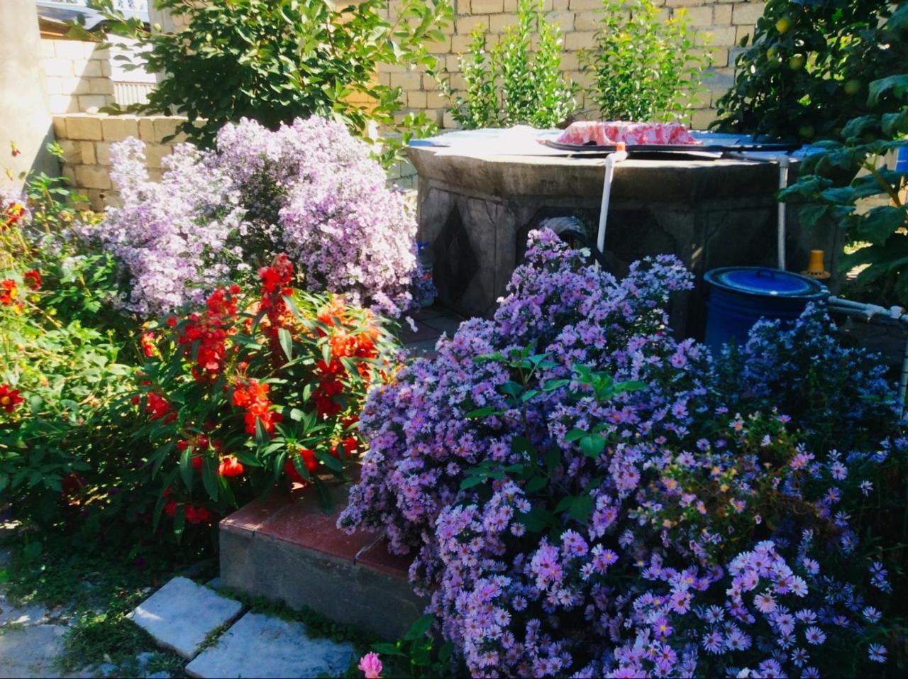 House On Ashiq Cuma Street 8 Bed & Breakfast Şǝki Dış mekan fotoğraf