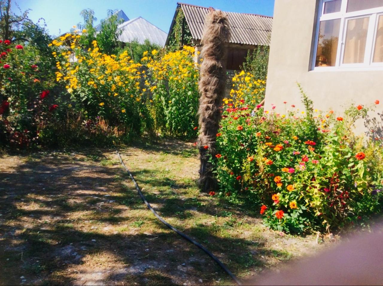 House On Ashiq Cuma Street 8 Bed & Breakfast Şǝki Dış mekan fotoğraf
