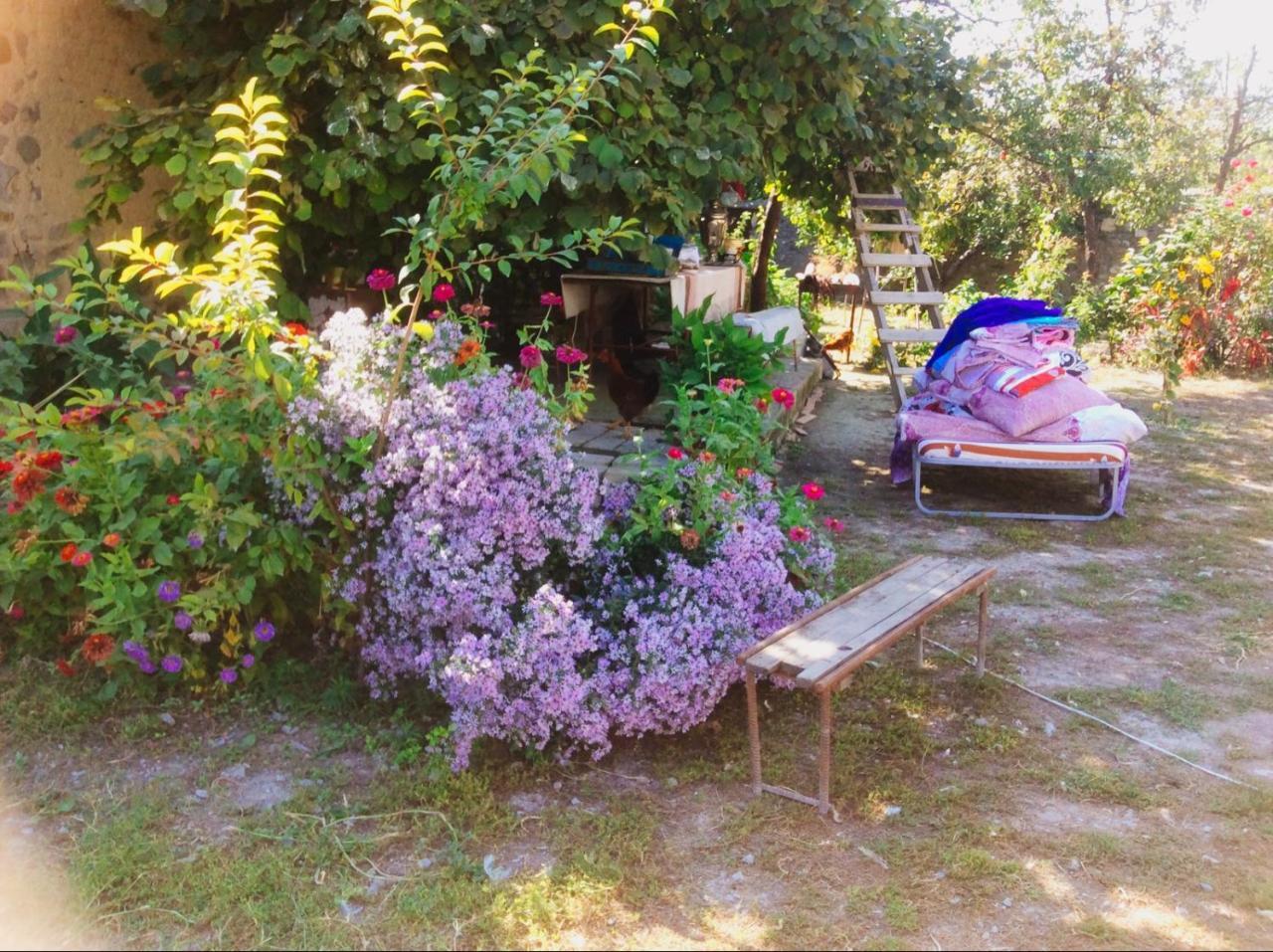 House On Ashiq Cuma Street 8 Bed & Breakfast Şǝki Dış mekan fotoğraf