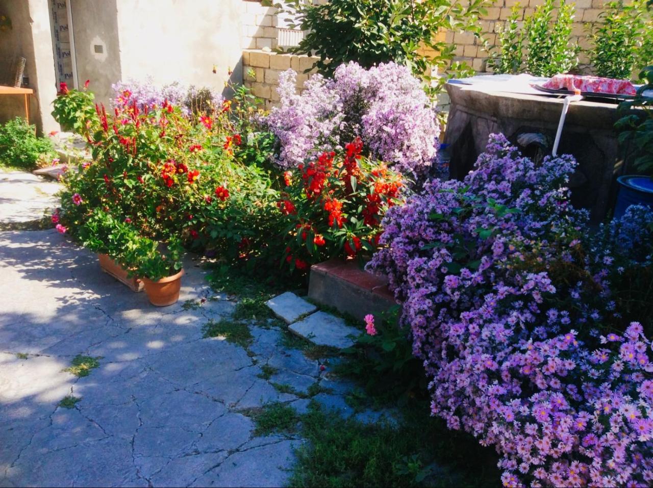 House On Ashiq Cuma Street 8 Bed & Breakfast Şǝki Dış mekan fotoğraf
